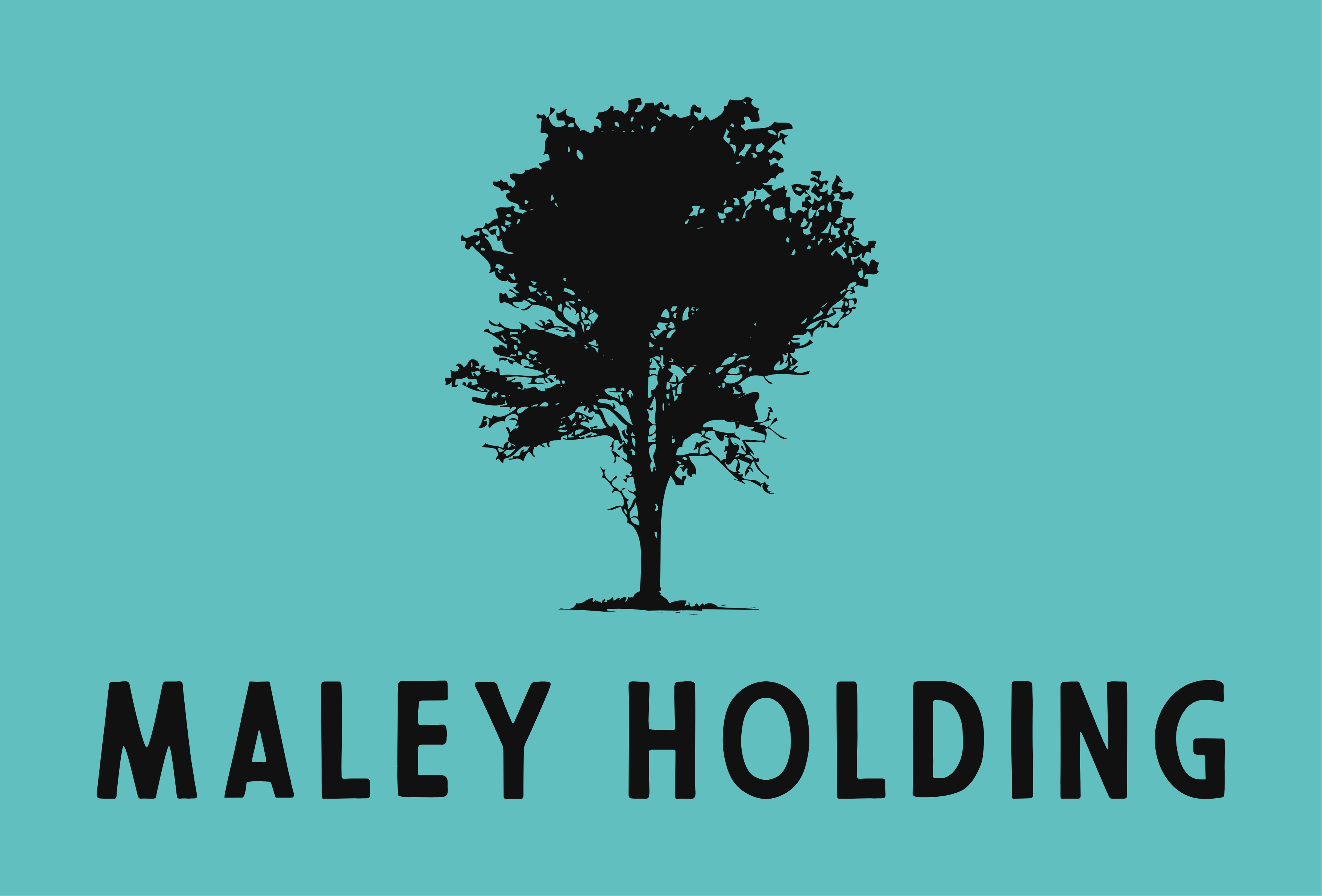 MaleyHolding